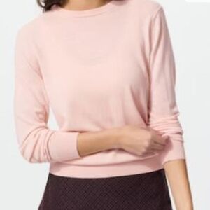Uniqlo 100% Merino Wool Sweater S